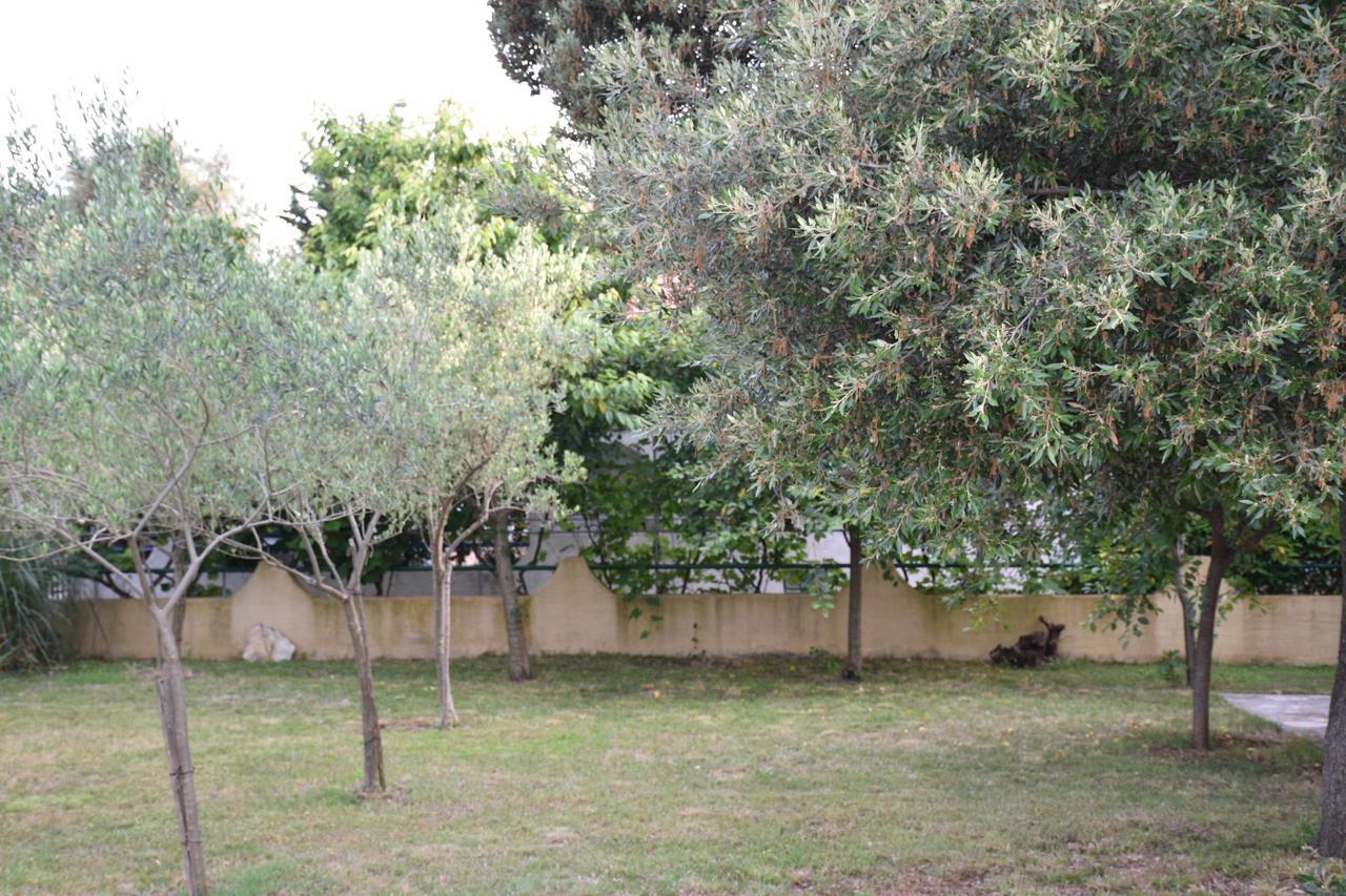 Apartments Antonija Punta Skala Next To Falkensteiner Resort Petrcane Luaran gambar